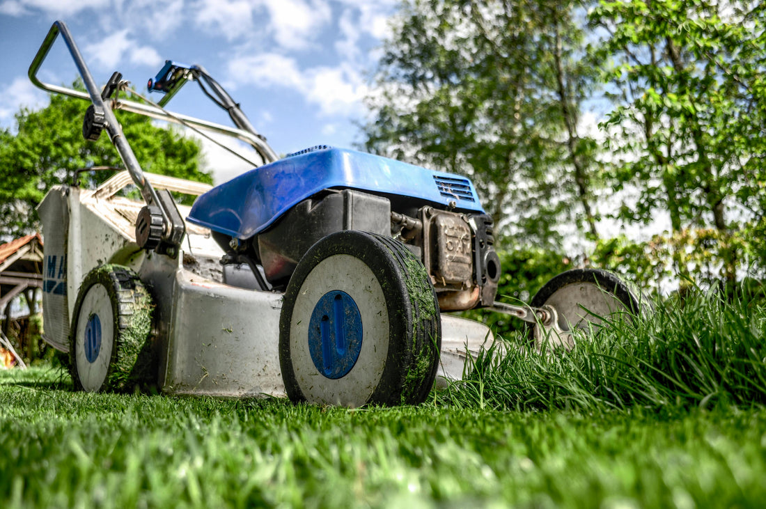 Growth and Trends in the Italy Lawn Care Products Market: Sustainability, Innovation, and Consumer Demand