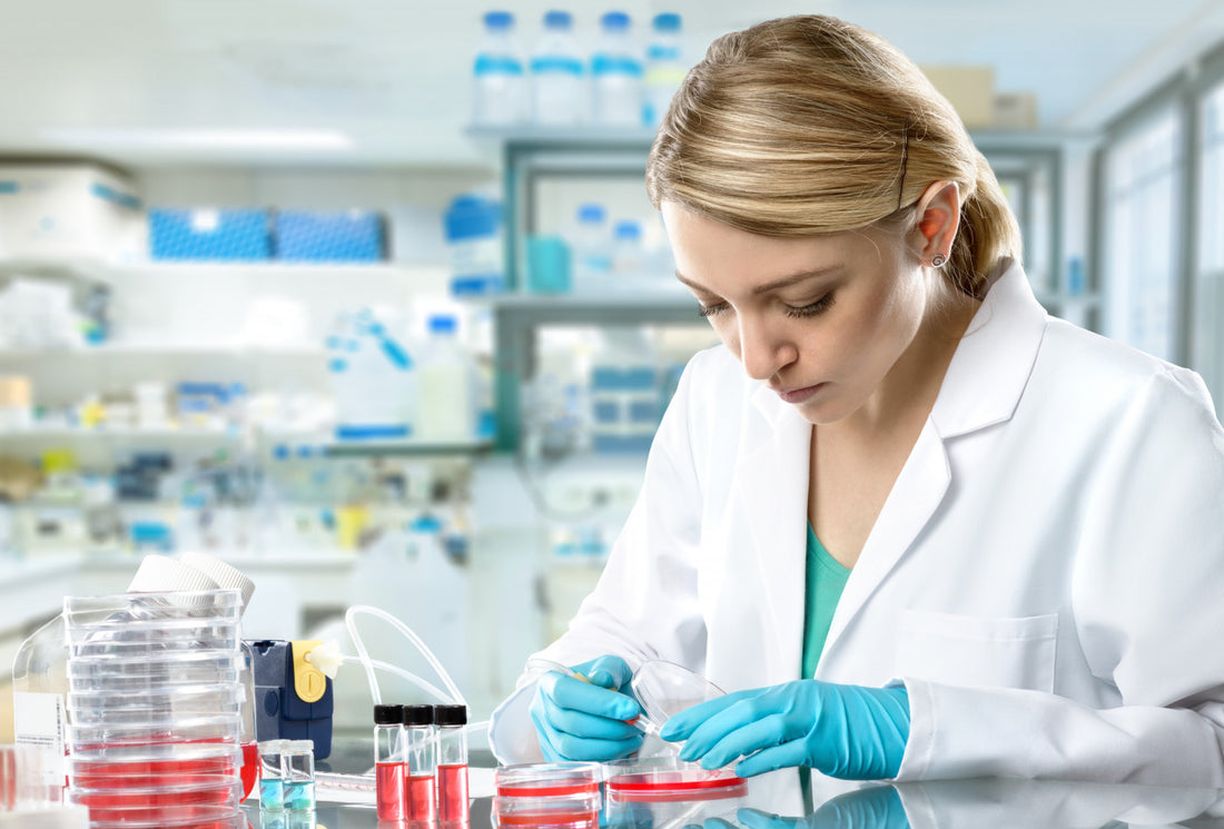 Early Toxicity Testing Market: Trends, Growth Drivers, and Key Players
