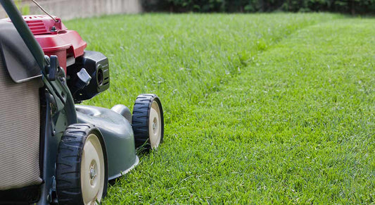 Middle East Lawn Care Products Market Poised to Reach $4 Billion by 2030, Driven by Outdoor Living Trends and Smart Technology Adoption