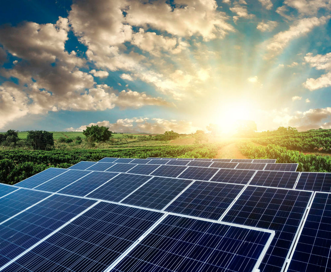 Solar Photovoltaic (PV) Market: Powering a Sustainable Future