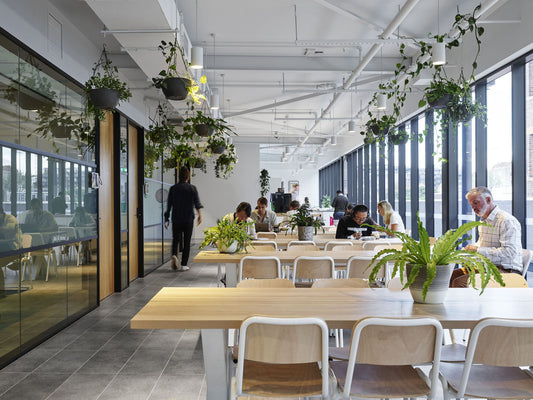 Exploring the Growth and Opportunities in the South Korea Co-Working Space Market