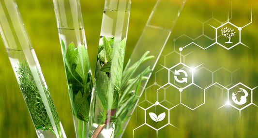 Agrochemicals Market Poised for Significant Growth, Projected to Reach USD 305 Billion by 2030