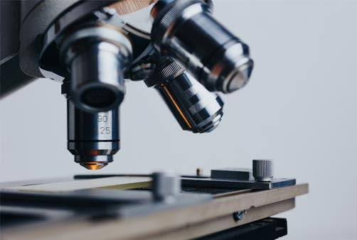 Ensuring Safety First: Growth of the Early Toxicity Testing Market in Latin America