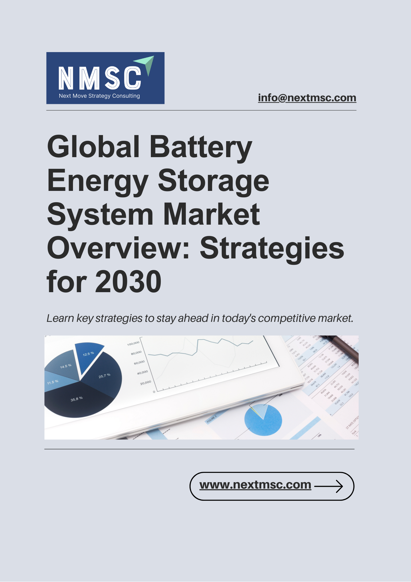 Global Battery Energy Storage System Market Overview: Strategies for 2030