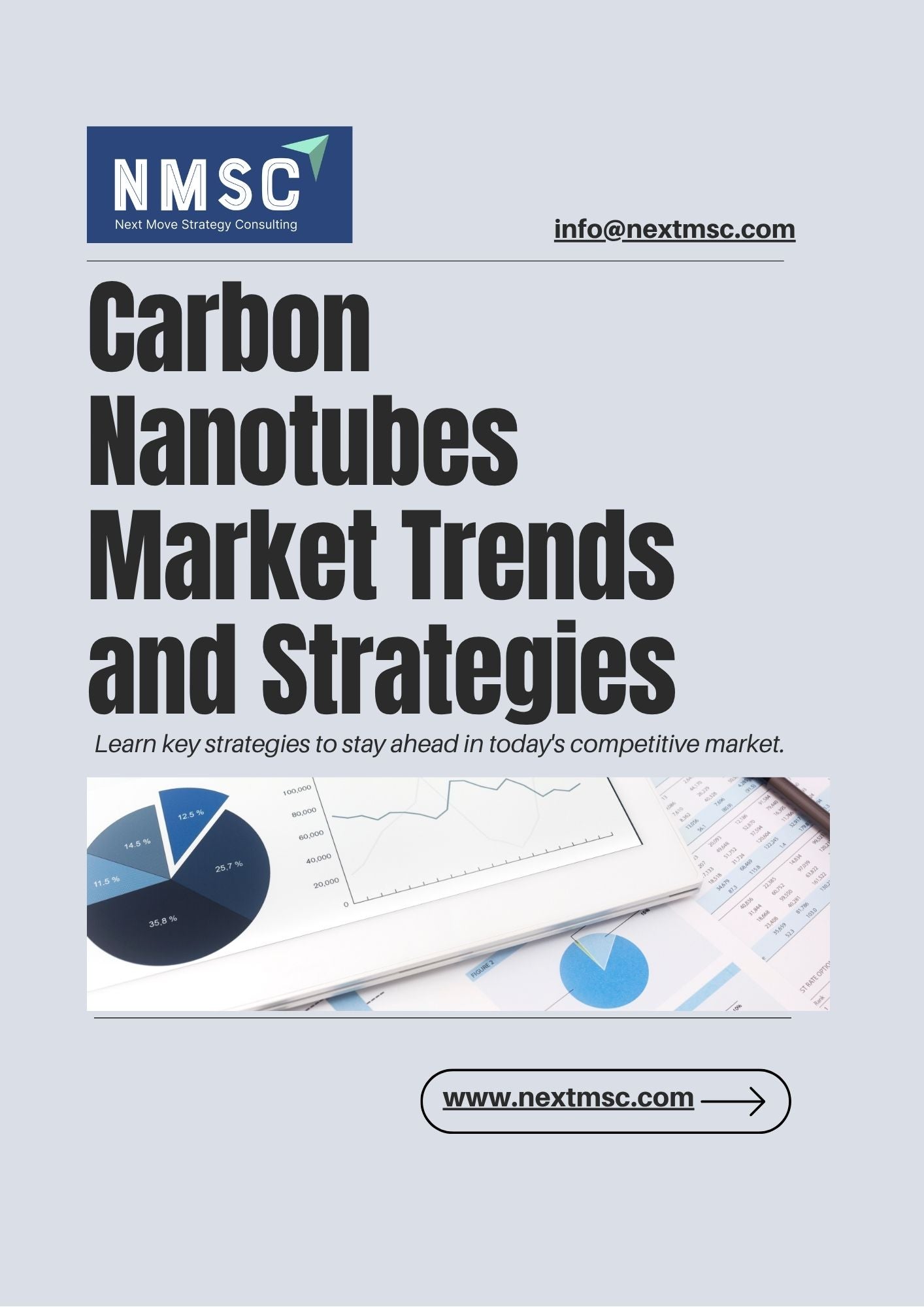 Carbon Nanotubes Market Report: Trends, Insights, and Forecast for 2030