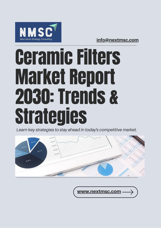 Ceramic Filters Market Report: Trends, Insights, and Forecast for 2030