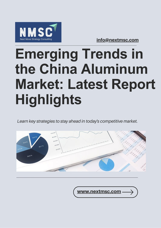 Global China Aluminum Market Overview: Strategies for 2030