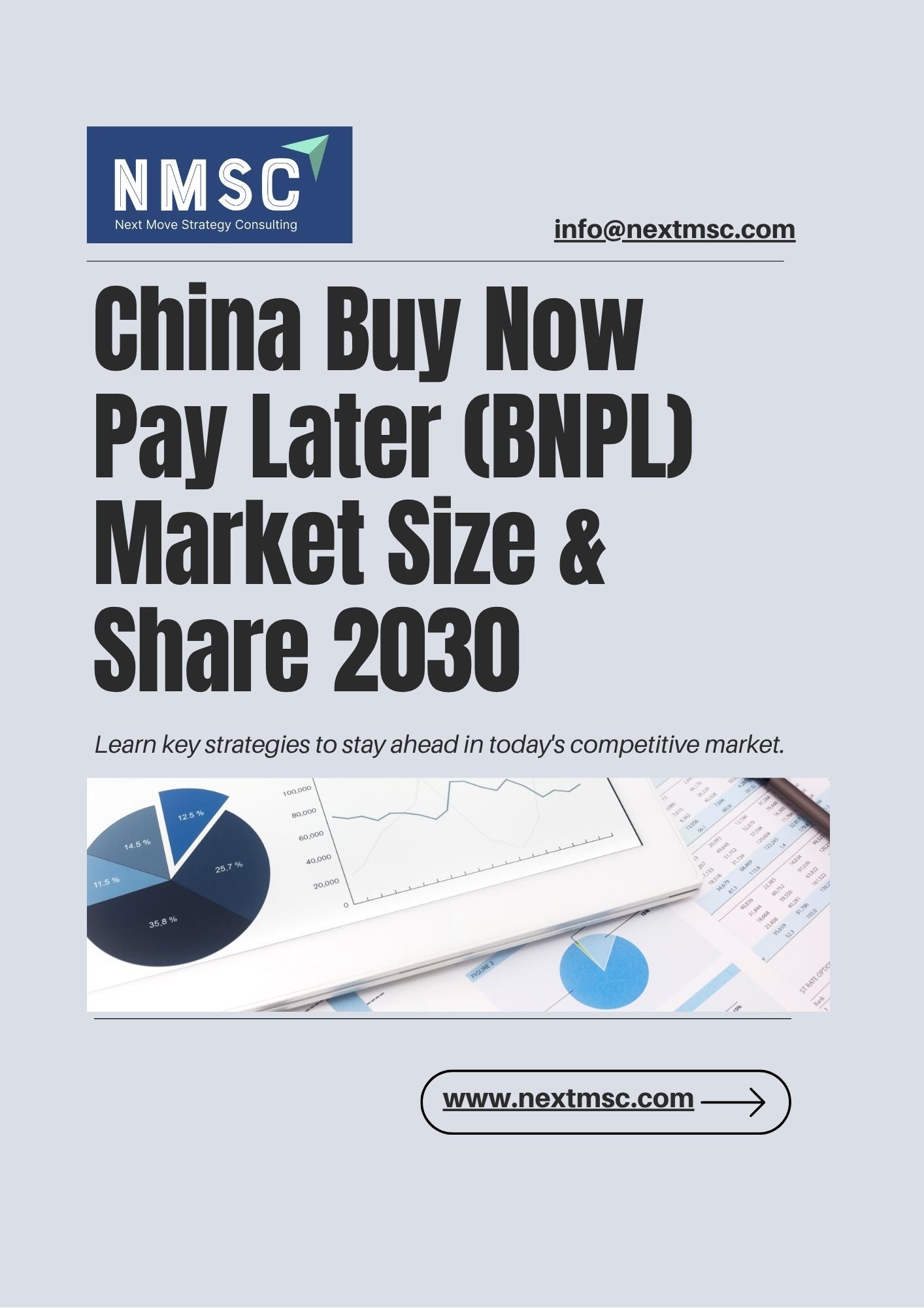 China Buy Now Pay Later (BNPL) Market Report: Trends, Insights, and Forecast for 2030