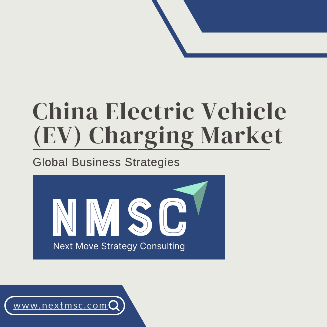 China Electric Vehicle EV Charging Market Analysis: Challenges, Growth Factors, and Future Outlook