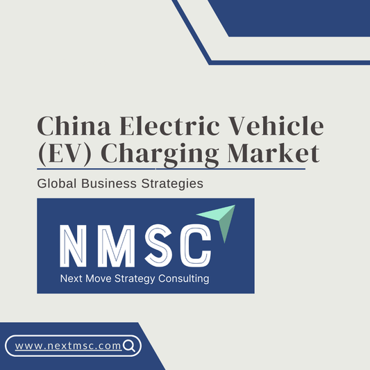 China Electric Vehicle EV Charging Market Analysis: Challenges, Growth Factors, and Future Outlook