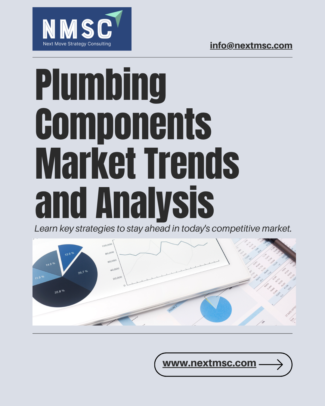 Plumbing Components Market Report: Trends, Insights, and Forecast for 2030