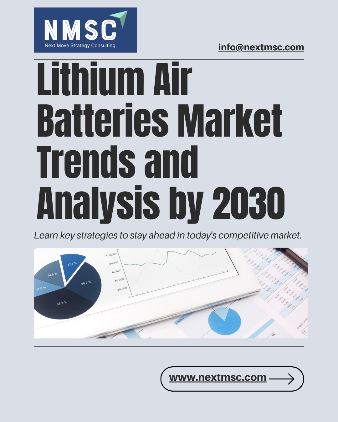 Lithium-Air Batteries Market Report: Trends, Insights, and Forecast for 2030