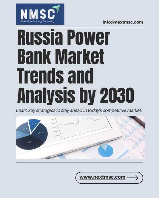 Russia Power Bank Market Report: Trends, Insights, and Forecast for 2030