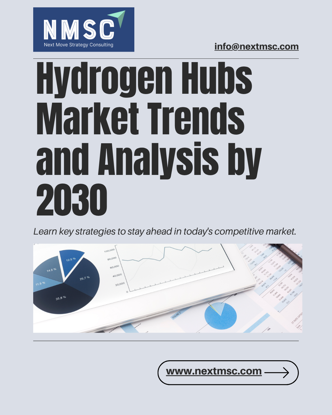 Hydrogen Hubs Market Report: Trends, Insights, and Forecast for 2030