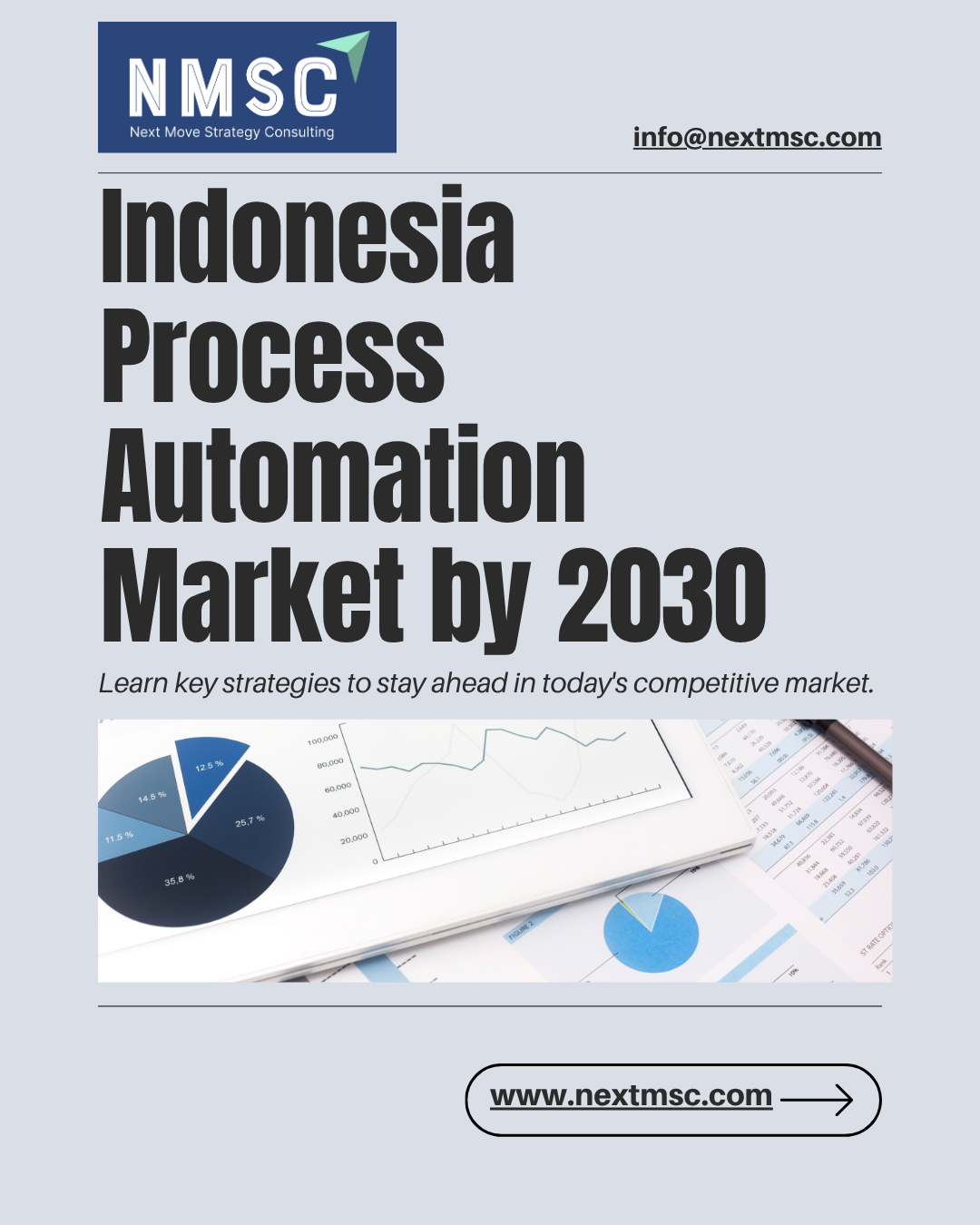 Indonesia Industrial Process Automation Market Report: Trends, Insights, and Forecast for 2030