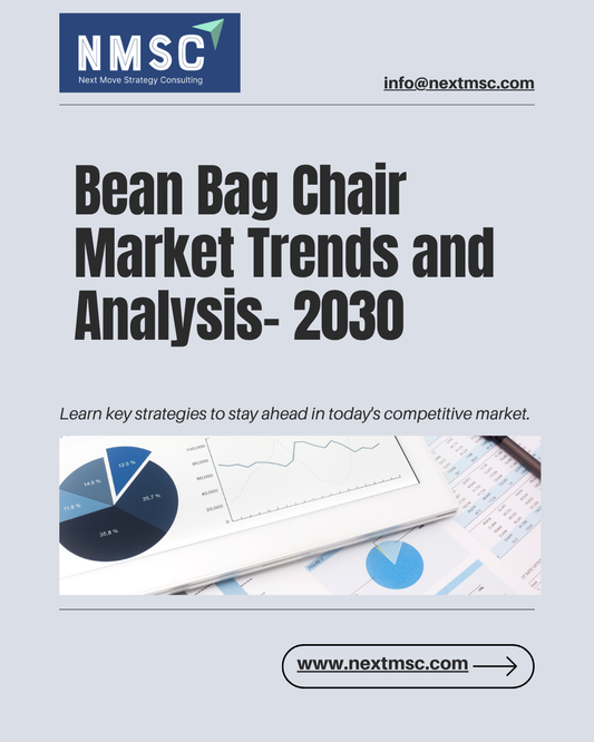 Global Bean Bag Chair Market Overview: Strategies for 2030