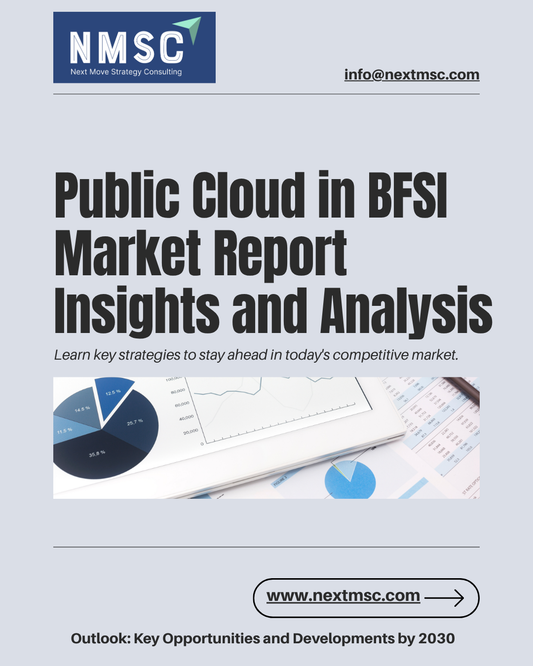 Public Cloud in BFSI Market Overview: Strategies for 2030