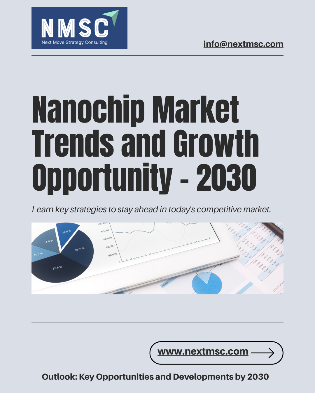 Nanochip Market Report 2030: Trends and Strategies