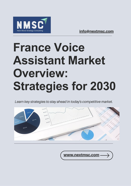 Unlocking Opportunities in the France Voice Assistant Market: In-Depth Report