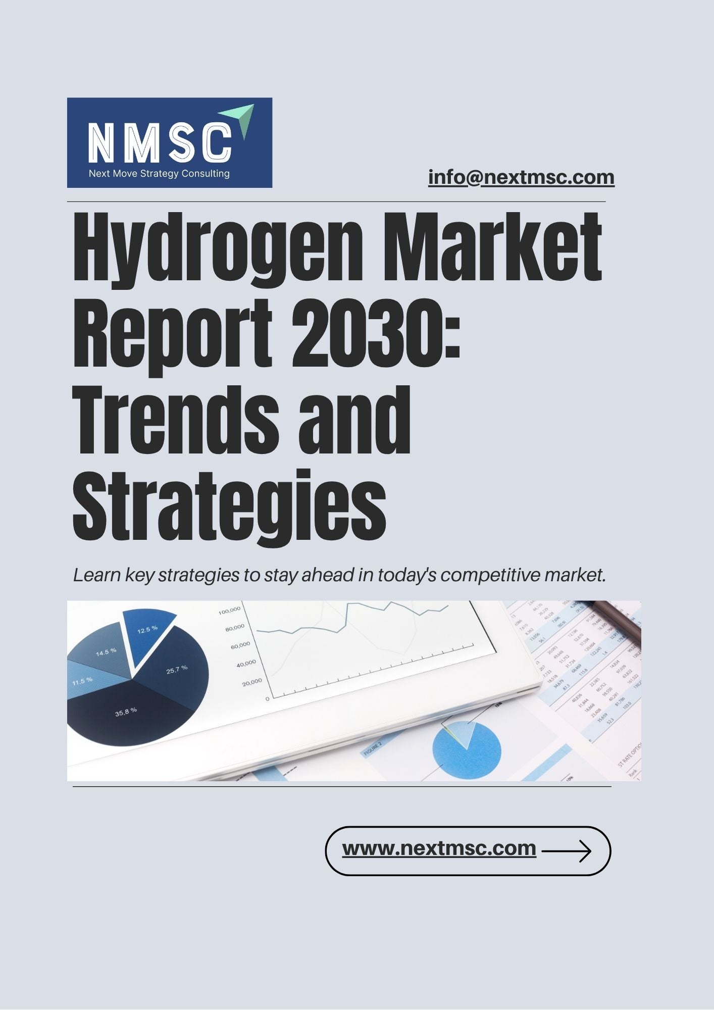 Hydrogen Market Report: Trends, Insights, and Forecast for 2030