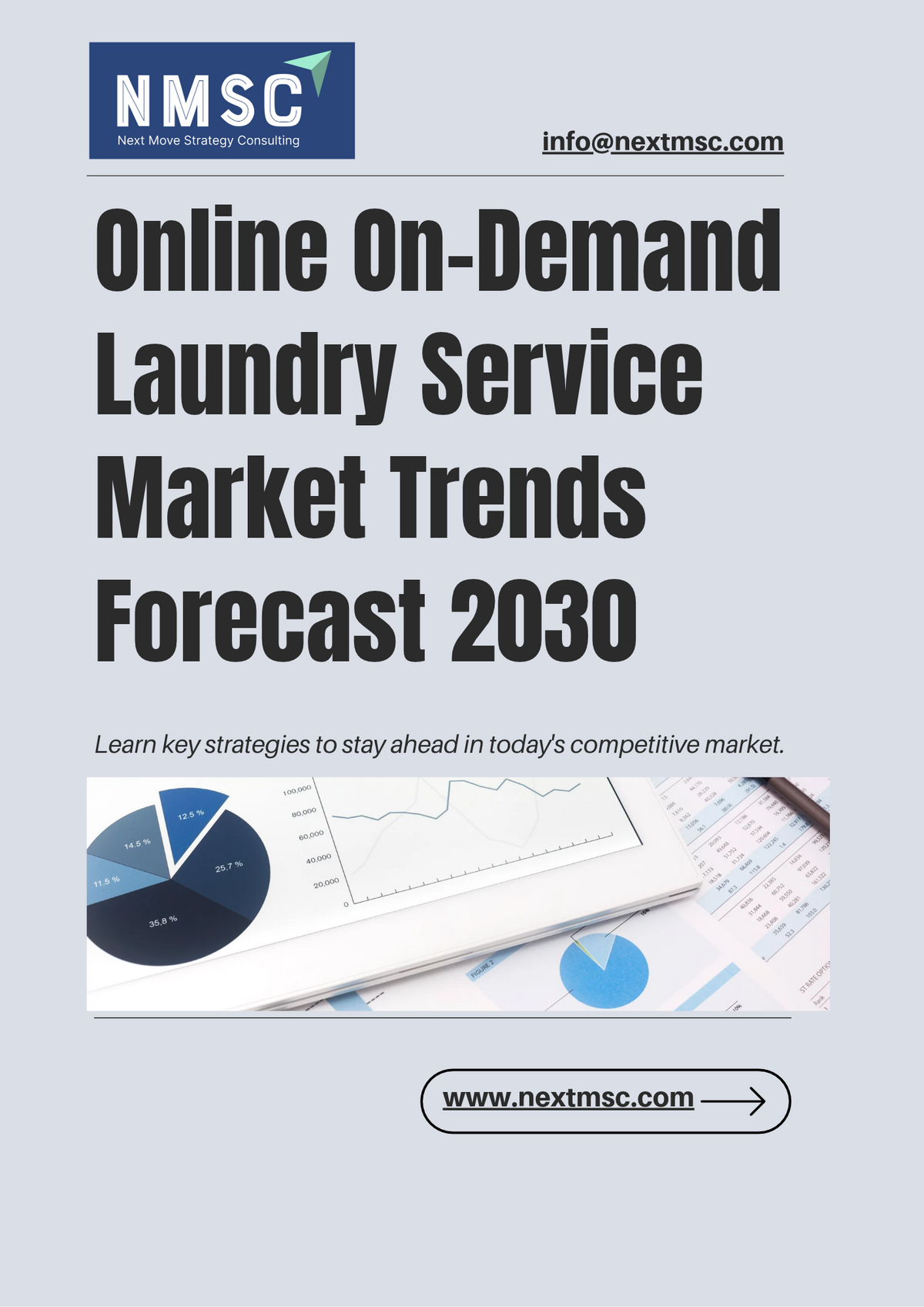 Global Online On-Demand Laundry Service Market Trends 2030