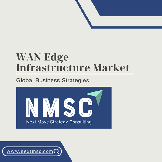 Global WAN Edge Infrastructure Market Overview: Strategies for 2030