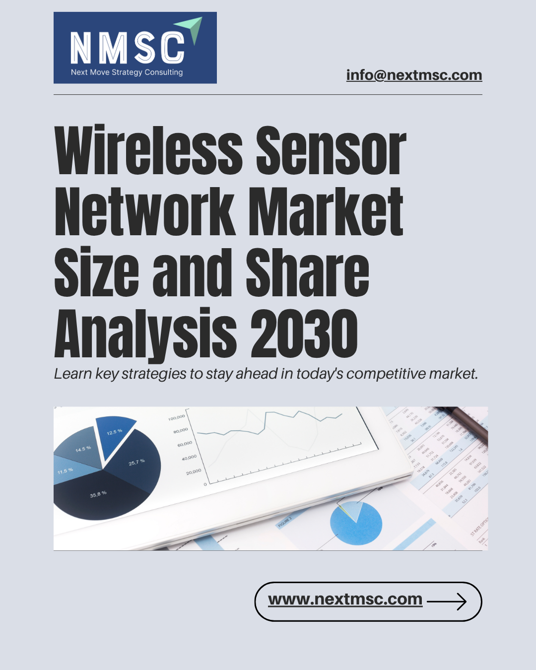 Global Wireless Sensor Network Market Overview: Strategies for 2030